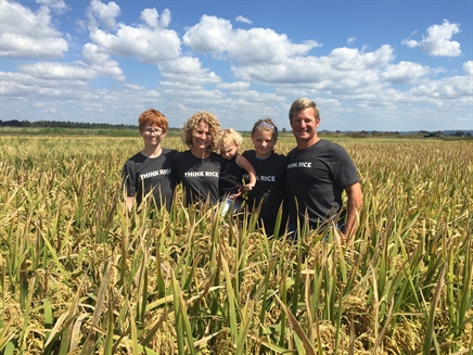 Cahokia Rice