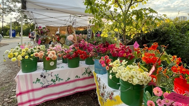 Chicago Farm Flowers