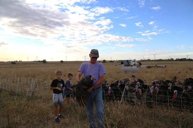 Mint Creek Farm